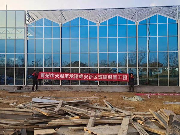 玻璃溫室1.jpg