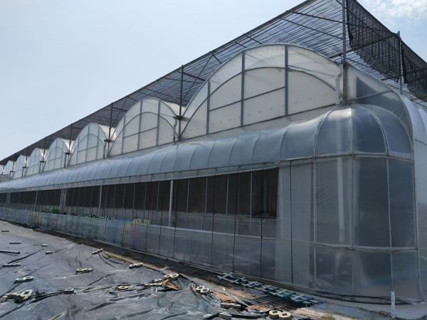 薄膜溫室