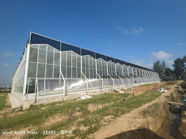 玻璃溫室