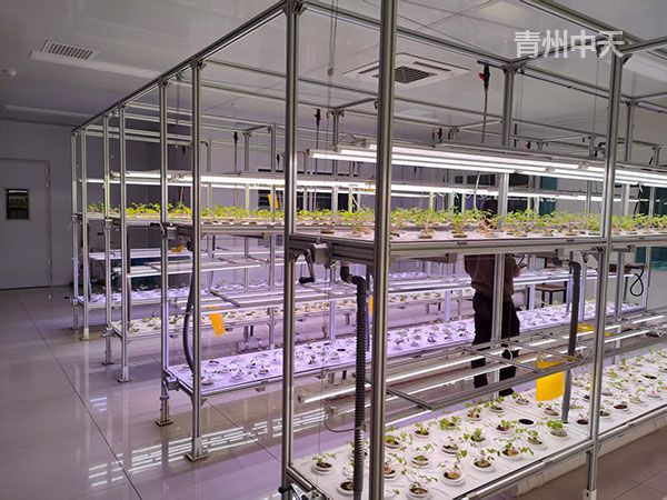 植物工廠(chǎng)