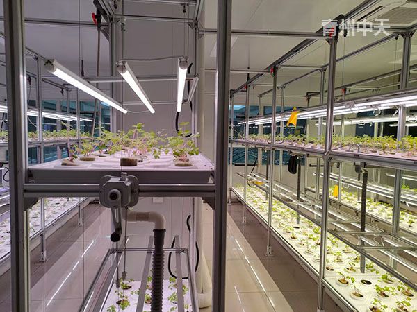 植物工廠(chǎng)